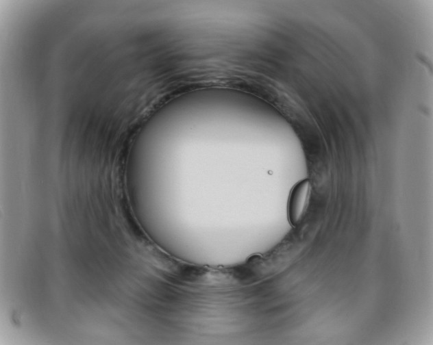 X0000095940270200801110901