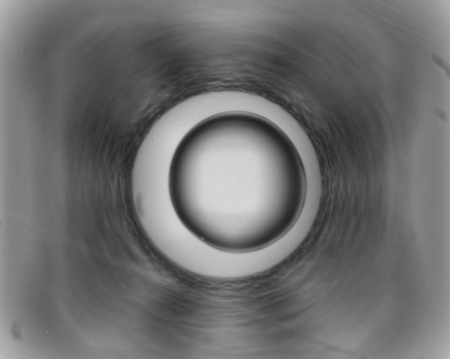 X0000095940272200801110901