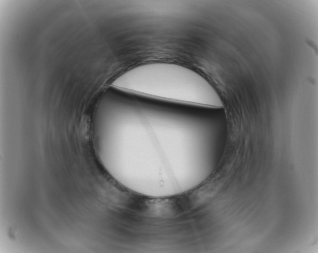 X0000095940273200801110901