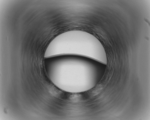 X0000095940274200801110901