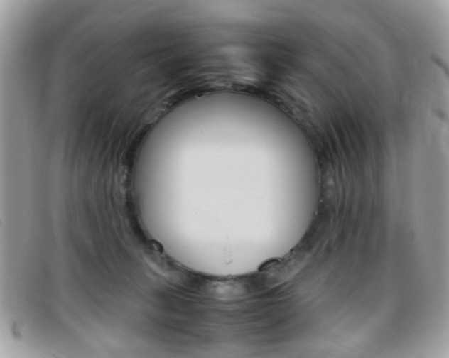 X0000095940275200801110901