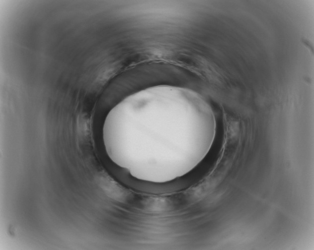 X0000095940276200801110901