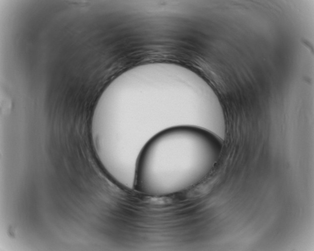 X0000095940277200801110901