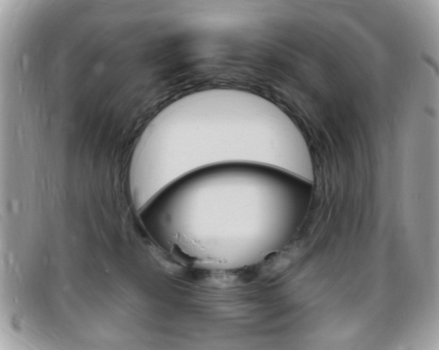 X0000095940278200801110901