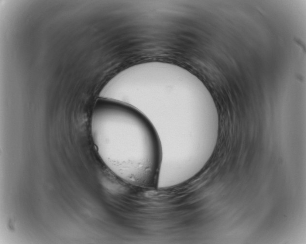 X0000095940279200801110901