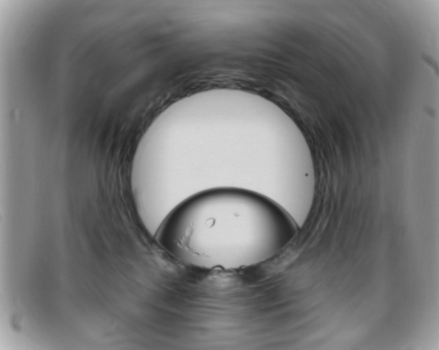 X0000095940280200801110901