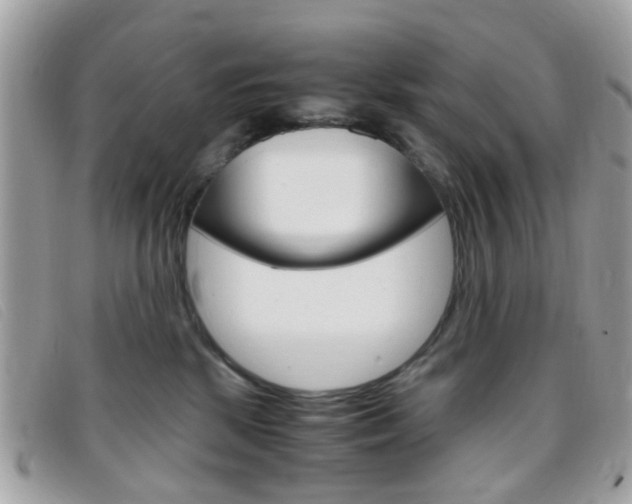 X0000095940281200801110901