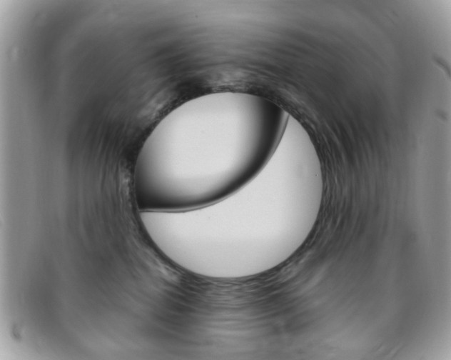 X0000095940282200801110901