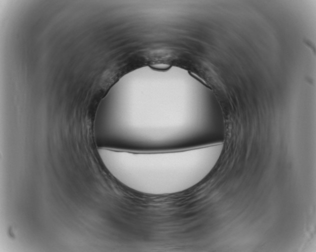 X0000095940283200801110901