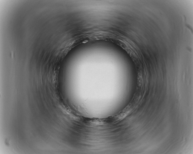 X0000095940284200801110901