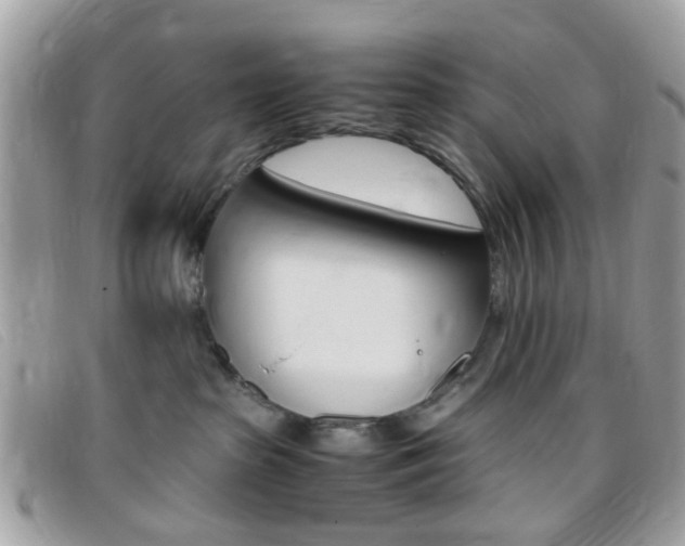X0000095940285200801110901