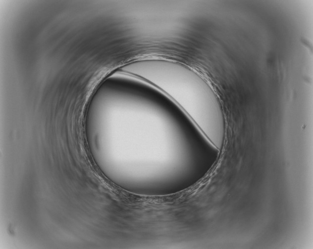 X0000095940289200801110900