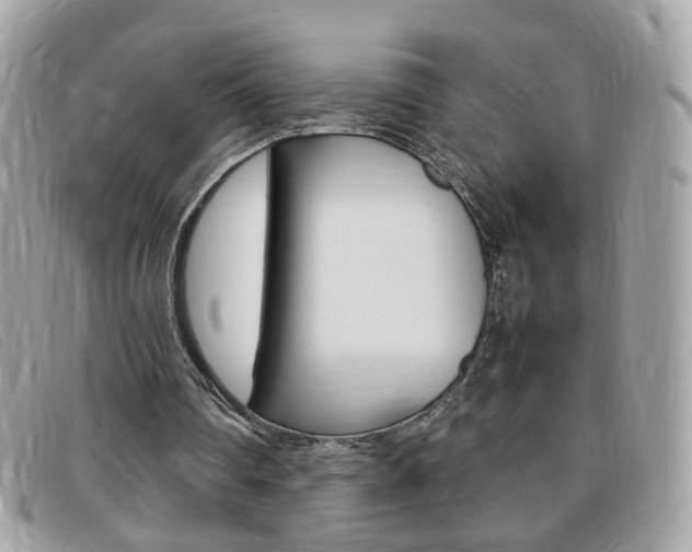 X0000095940290200801110900