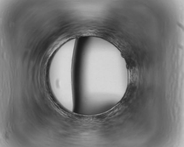 X0000095940291200801110900