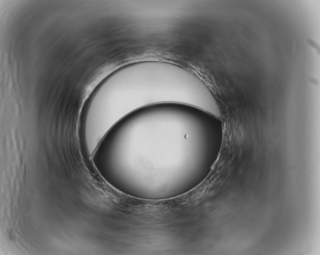 X0000095940292200801110900