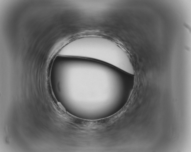 X0000095940293200801110900