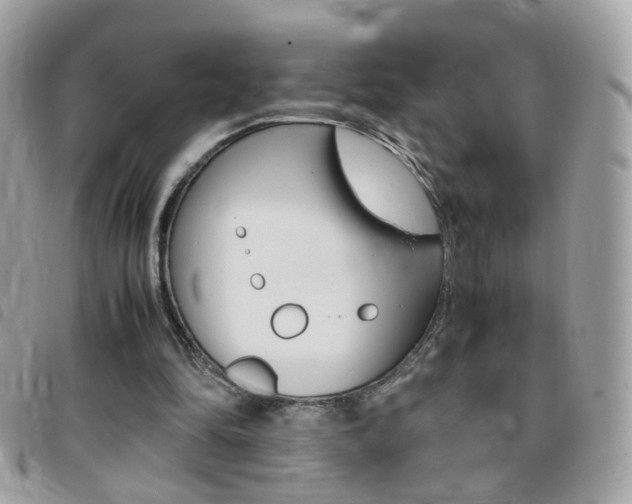 X0000095940294200801110900