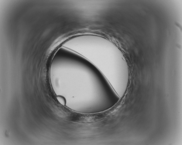 X0000095940295200801110900