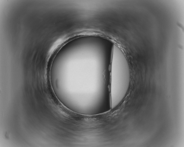 X0000095940296200801110900