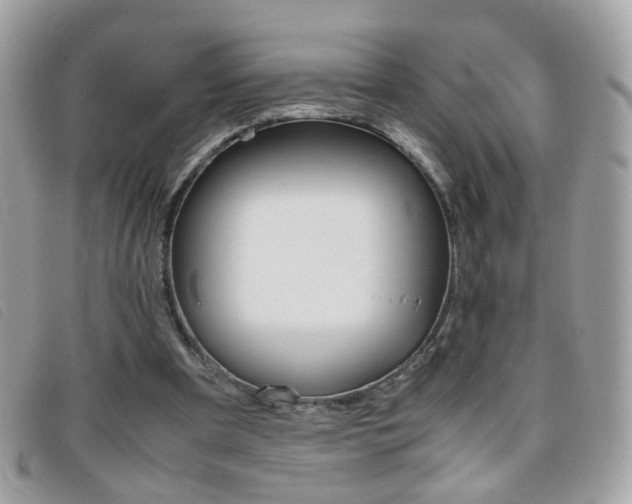 X0000095940297200801110900