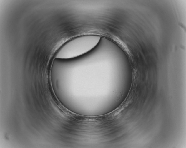 X0000095940298200801110900