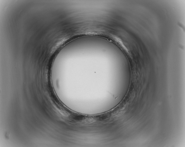 X0000095940299200801110900