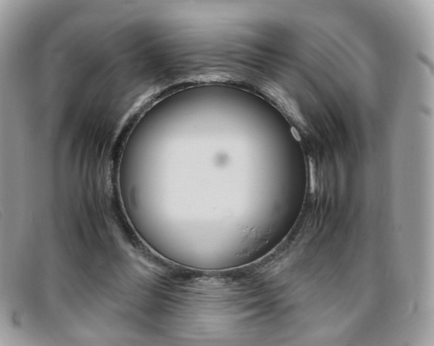 X0000095940300200801110900