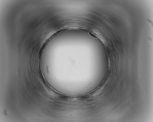 X0000095940301200801110900