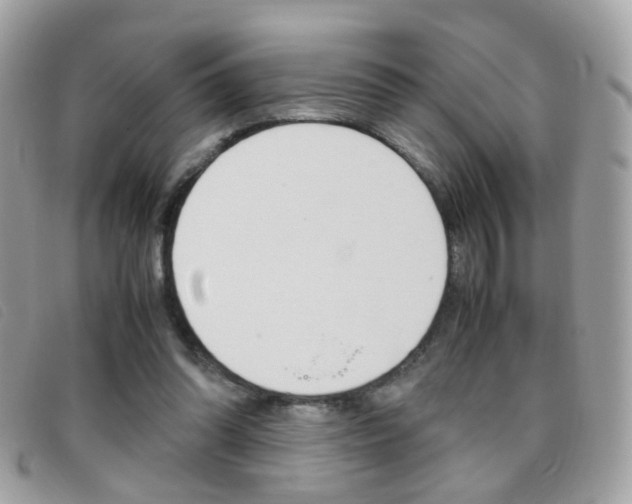 X0000095940302200801110900