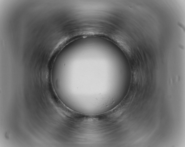 X0000095940304200801110900
