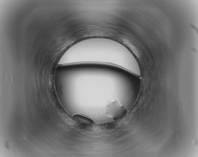 X0000095940305200801110900