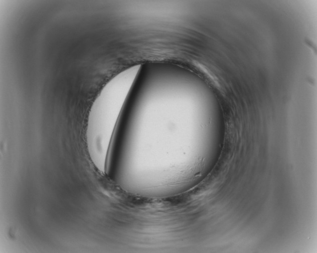X0000095940307200801110900