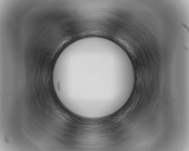 X0000095940308200801110900