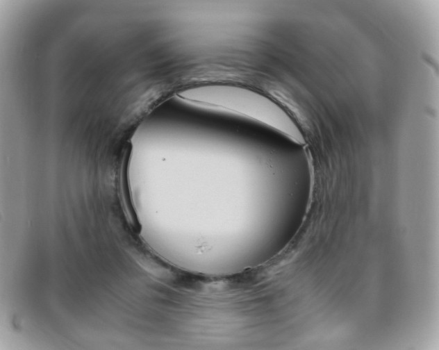 X0000095940309200801110900