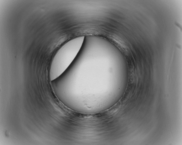 X0000095940310200801110900