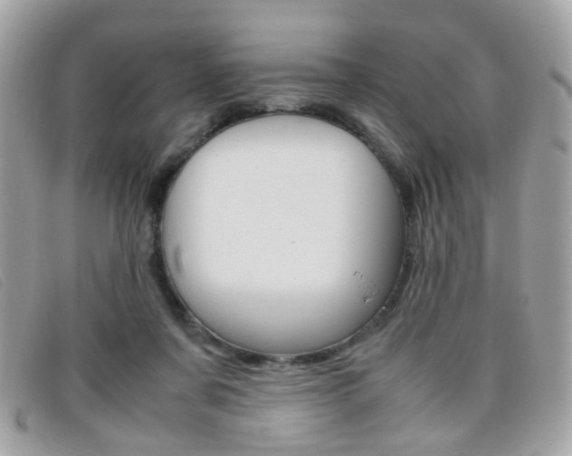 X0000095940311200801110900