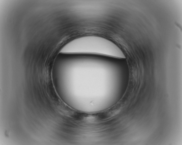 X0000095940312200801110900