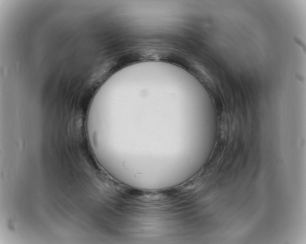 X0000095940314200801110900