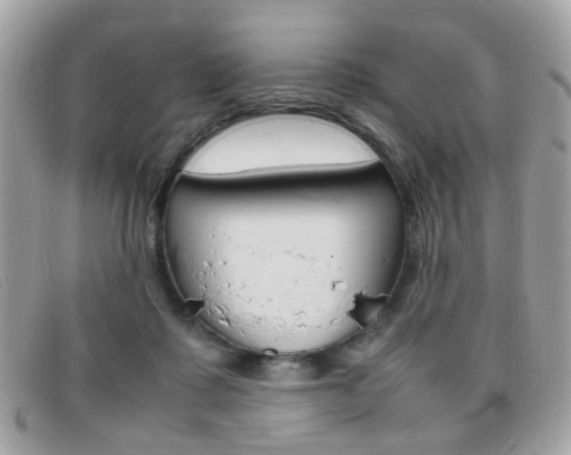 X0000095940315200801110900