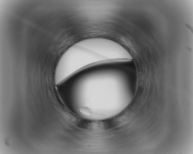 X0000095940317200801110900