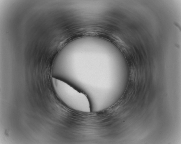 X0000095940318200801110900