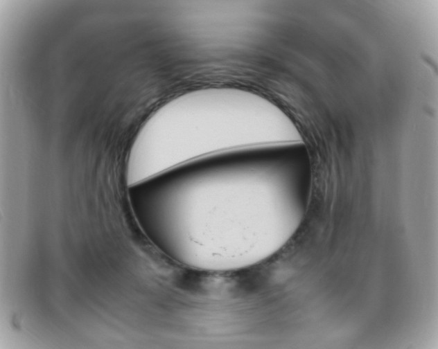X0000095940319200801110900
