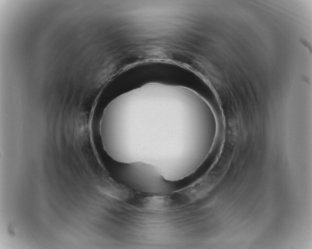 X0000095940320200801110900
