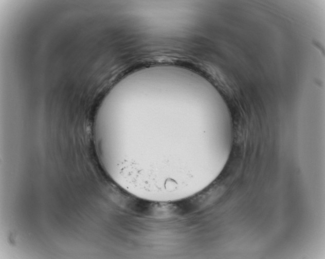 X0000095940321200801110900