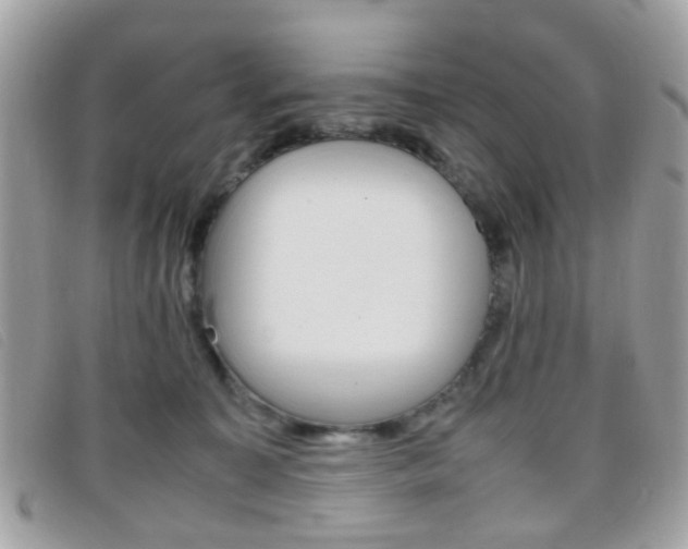 X0000095940323200801110900