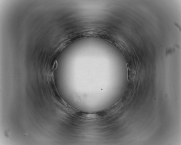X0000095940324200801110900