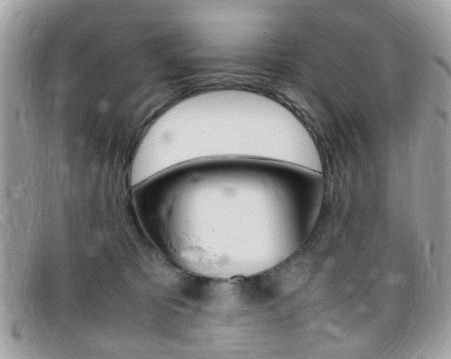 X0000095940325200801110900