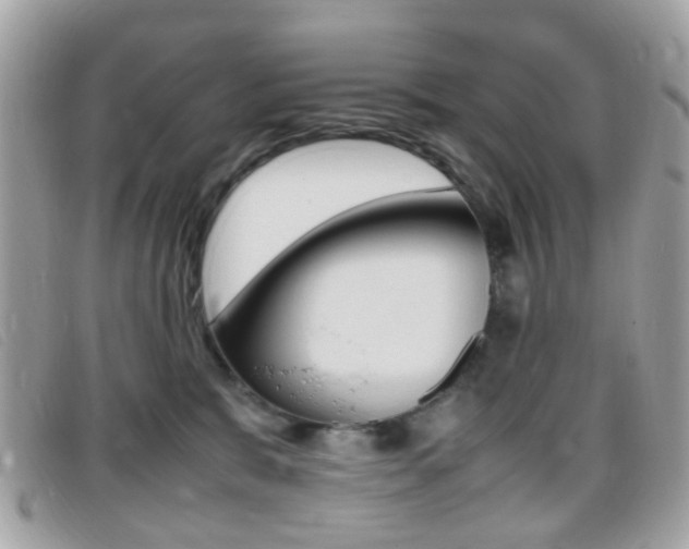 X0000095940327200801110900