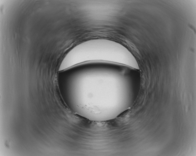X0000095940329200801110900