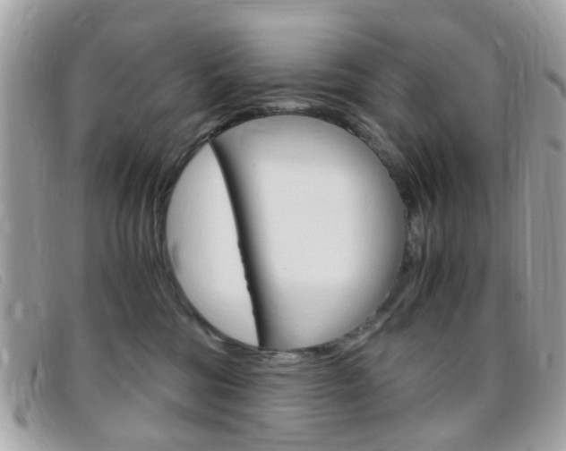 X0000095940330200801110900